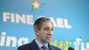 Poll suggests Fine Gael is most popular party ahead of election