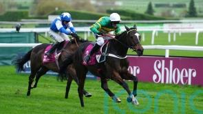 Businesslike Jonbon makes it back-to-back Shloer Chase victories