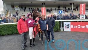 Easy does it for Bleu De Vassy in For Auction