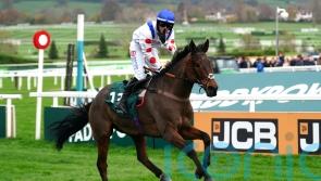 &lsquo;It&rsquo;s what every jockey dreams of&rsquo; &ndash; Il Ridoto and Freddie Gingell claim Paddy Power Gold Cup glory