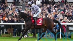 King George question mark after Il Est Francais is pulled up