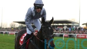 Il Est Francais booked for thorough examination after Auteuil disappointment
