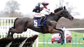 Soft ground key to Salver&rsquo;s Ascot Hurdle challenge