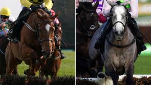 Mullins&rsquo; stars out in force at Punchestown