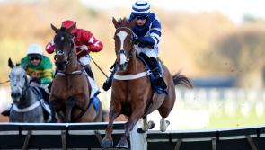 Celtic Dino delivers in style at Ascot