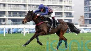 Djelo pencilled in for Peterborough run