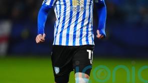 Sheffield Wednesday beat struggling Hull to turn up heat on Tim Walter