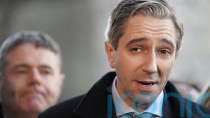 Simon Harris &lsquo;not sure&rsquo; whether he will allow John McGahon to join canvass team