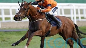 Lavender Hill Mob beaten on eagerly-awaited hurdling debut