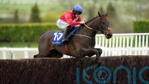 Quilixios primed for Tingle Creek and &lsquo;pretty adaptable&rsquo; ground-wise