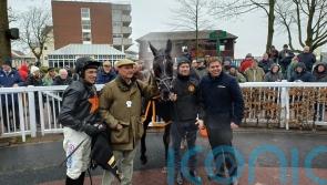 Royal Infantry marches on with impressive Haydock romp
