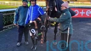 Ile Atlantique makes seamless transition to fences