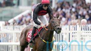 Pinkerton poised for December Gold Cup Cheltenham raid