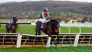 Jet-propelled success for France at Cheltenham