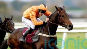 Double delight for Jane Williams at Newbury