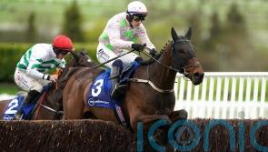 Patrick Mullins excited to be going back into battle with Gaelic Warrior