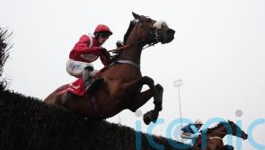 Soul Icon secures top spot in Desert Orchid Chase