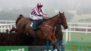 Jeannot Lapin produces 150-1 shock at Leopardstown