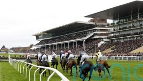 Cheltenham call precautionary inspection due to high winds warning