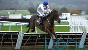 Next stop Cheltenham Festival for hot prospect Potters Charm