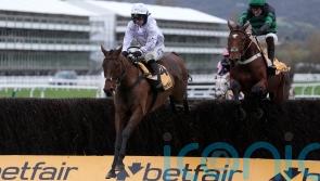 Springwell Bay stars for the O&rsquo;Neill team at Cheltenham