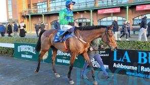 Champ Kiely starts chasing career in style at Fairyhouse