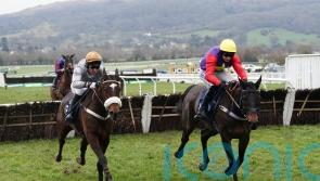 Leenders considering Aintree aim for Gold Tweet