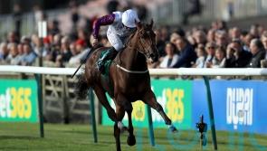 First Ambition gets Laurens off the mark as broodmare