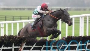 The Yellow Clay claims Grade One success in fine style