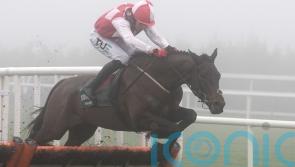 Hello Neighbour to defend unbeaten record at Dublin Racing Festival