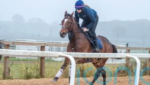 Rebecca Menzies has big-race options for Boomslang