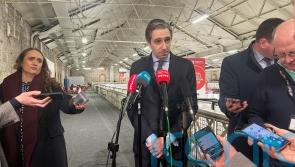 Taoiseach and Tanaiste refuse to comment on trust in Lowry