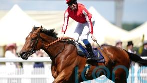 Isle Of Jura making strides in injury recovery