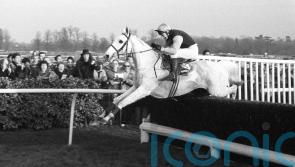 Powell recalls Panto&rsquo;s Ascot battle with jumps great Dessie