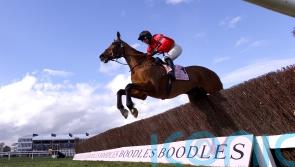 Ahoy Senor &lsquo;seems in great form&rsquo; for Fleur De Lys test