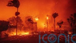 Small number of Irish citizens affected by LA wildfires &ndash; Martin