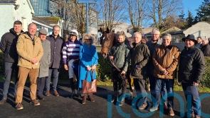 Funiculi Funicula makes an impression on debut for Mullins