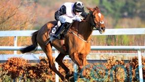 De Bromhead hoping Windsor Journey pays dividends