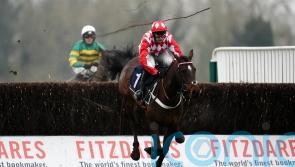 Jingko Blue picks up Hampton honours at Windsor