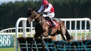 Galmoy likely to guide Sandor Clegane plans for remainder of season