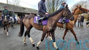 Mullins &lsquo;delighted&rsquo; with Galopin Des Champs ahead of Dublin Racing Festival