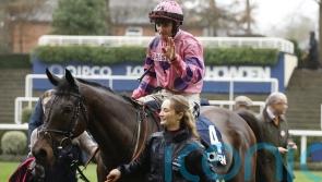 Burke backing Crambo to banish memories of last visit to Cheltenham