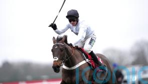 Constitution Hill &lsquo;up for it&rsquo; ahead of Festival prep