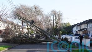 More than a million homes and businesses without power across island of Ireland