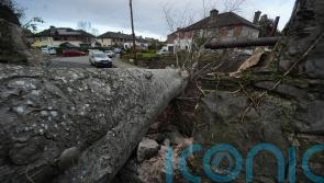 Every effort being made to restore power and electricity supplies &ndash; Taoiseach