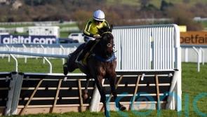 East India Dock delivers again in Triumph Trial at Cheltenham