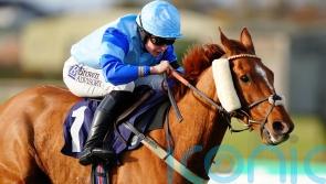 Docpickedme gives Richard Hobson and Charlie Maggs another big day