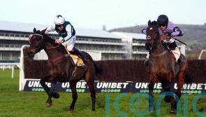 Stage Star bound for Aintree after fine Cheltenham run