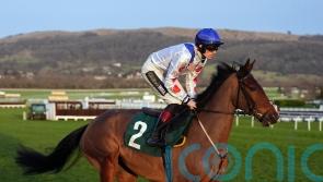 Potters Charm team expecting &lsquo;different horse&rsquo; at Festival