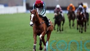 Windbeneathmywings &lsquo;ticking over&rsquo; with Cheltenham on the horizon